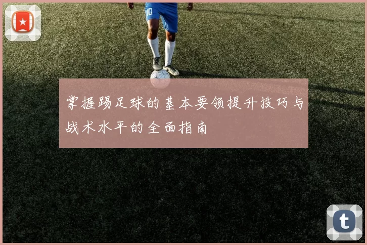 掌握踢足球的基本要领提升技巧与战术水平的全面指南
