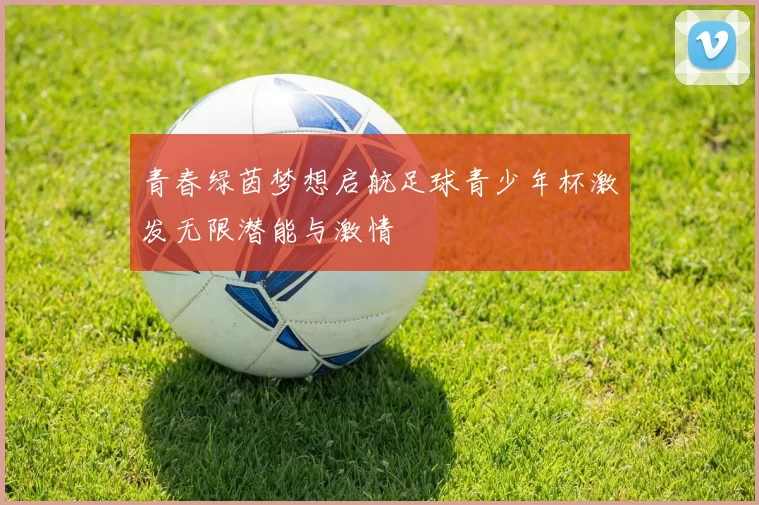 青春绿茵梦想启航足球青少年杯激发无限潜能与激情