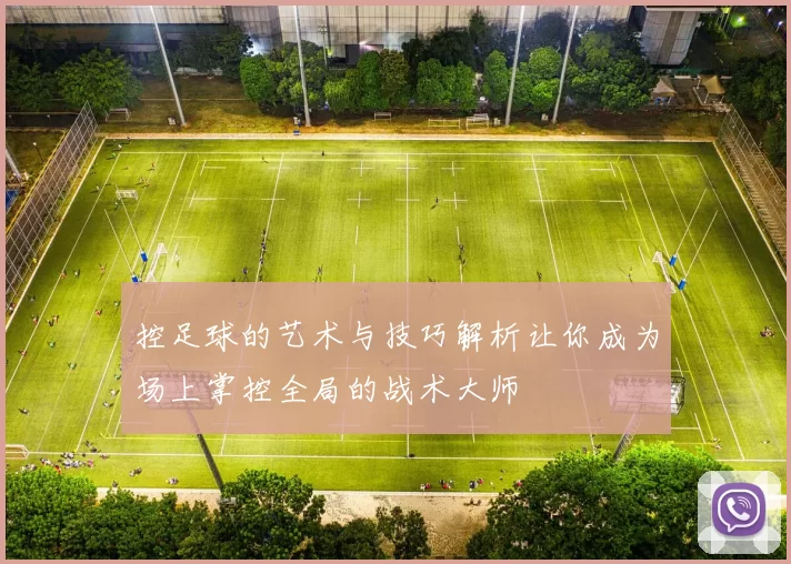 控足球的艺术与技巧解析让你成为场上掌控全局的战术大师